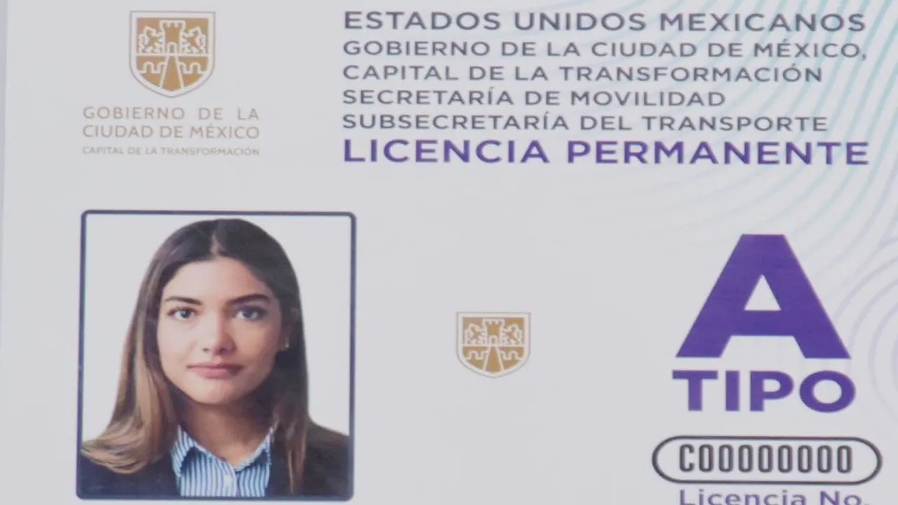 Licencia permanente