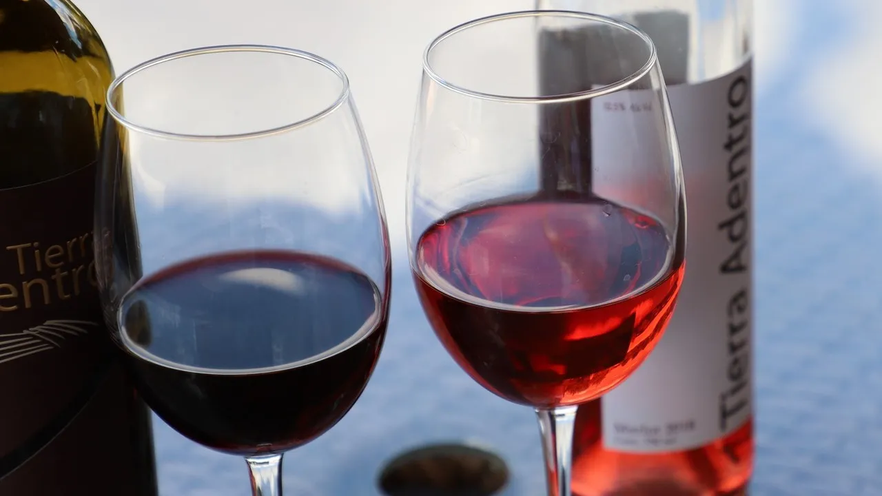 Vinofy Wine Fest