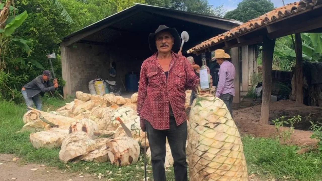 Mezcal Fest