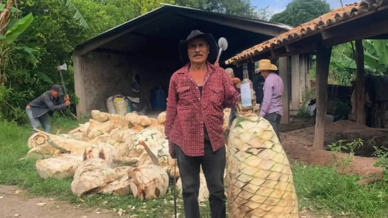 Mezcal Fest