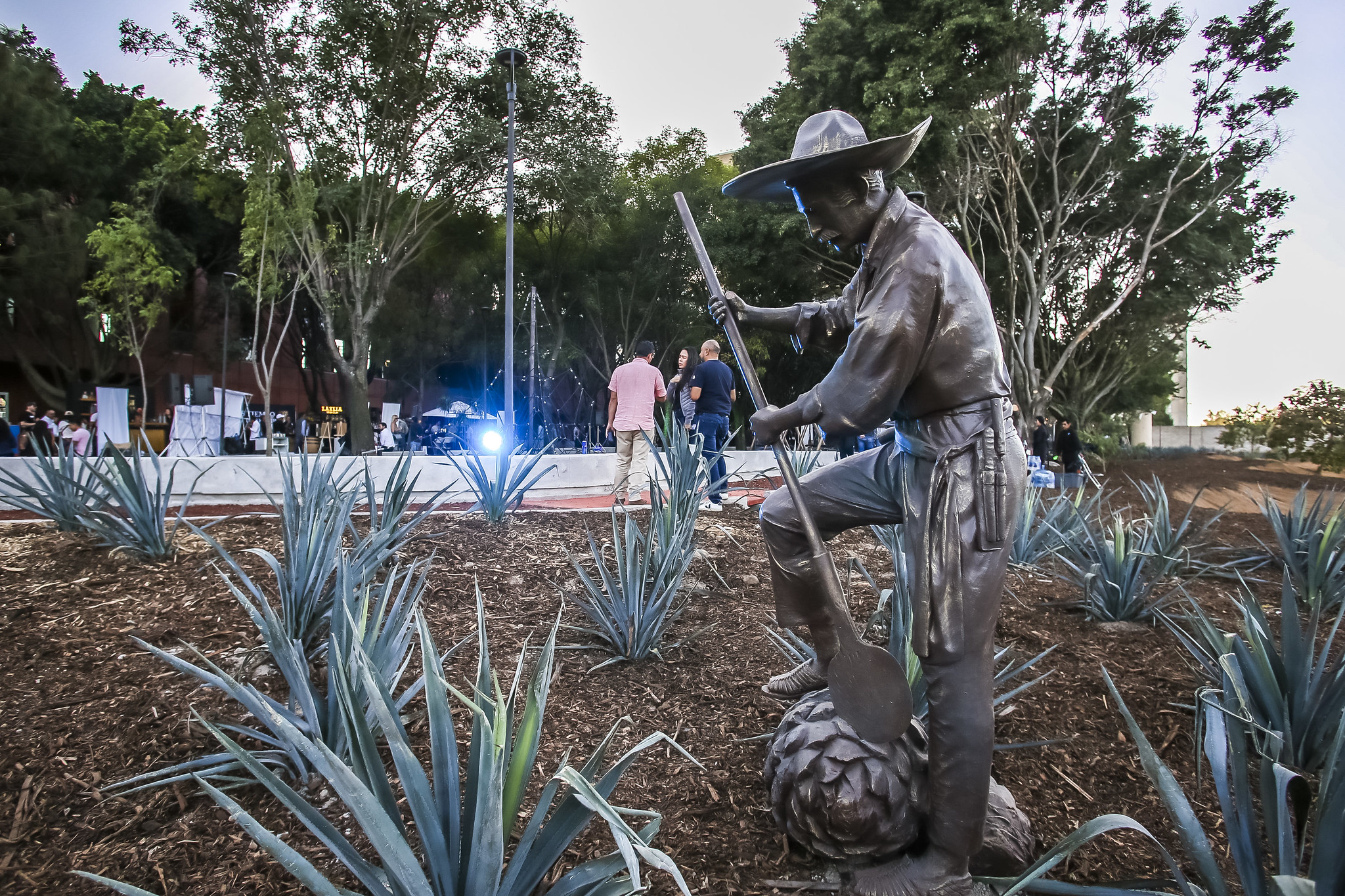 Tequila Lab