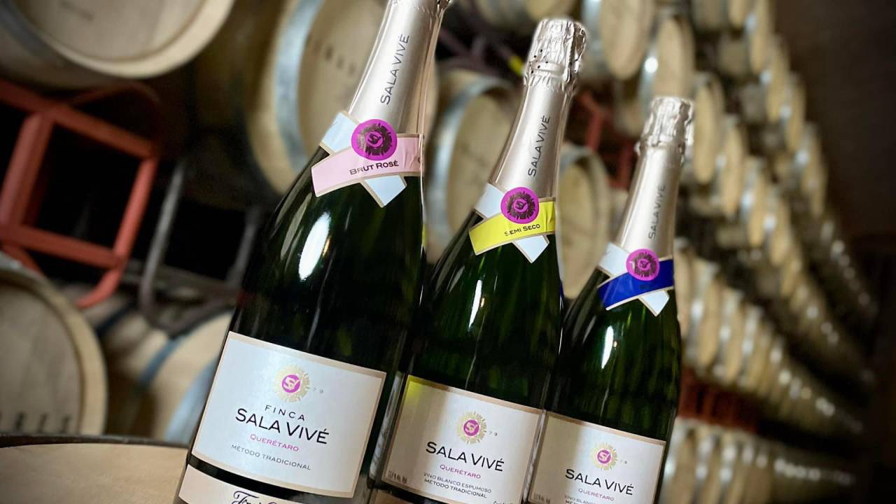 Gala de Navidad Viñedos Freixenet