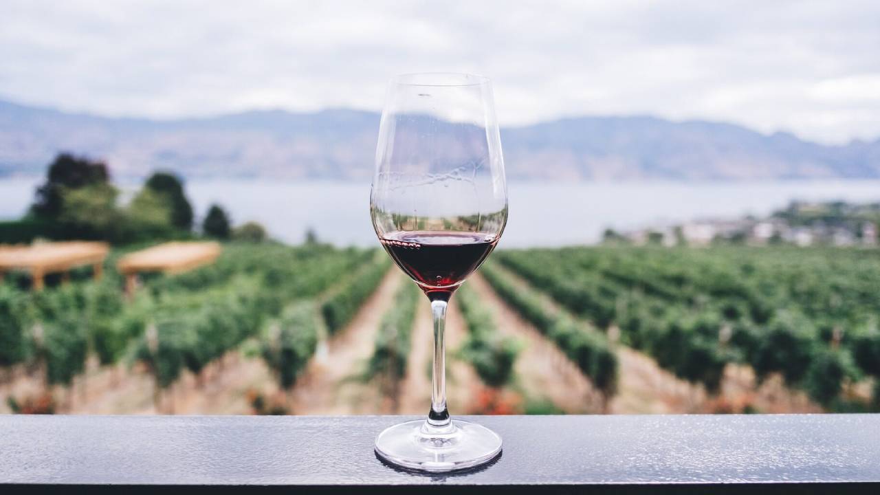 Viñedos de Chihuahua: un viaje de sabores y tradición