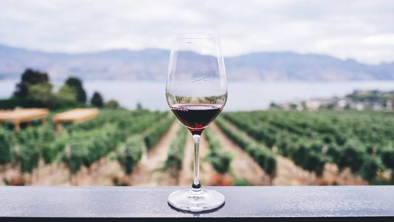 Viñedos de Chihuahua: un viaje de sabores y tradición