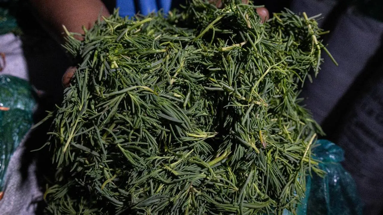 Romeritos