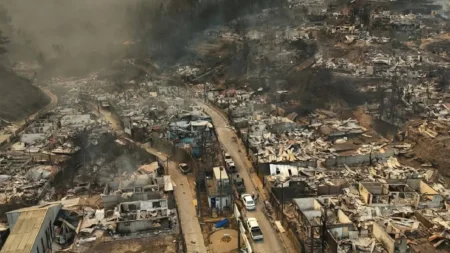 Los recientes incendios forestales en Chile, que han cobrado la vida de personas, animales, y millones de dólares en pérdidas, son un recordatorio de que existen medidas para prevenir incendios forestales que todos debemos conocer. 