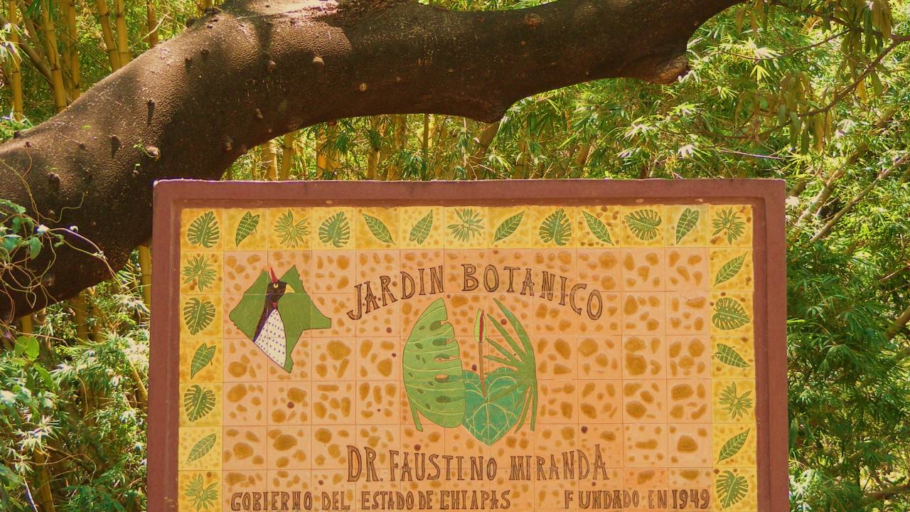 Jardín Botánico "Dr. Faustino Miranda"