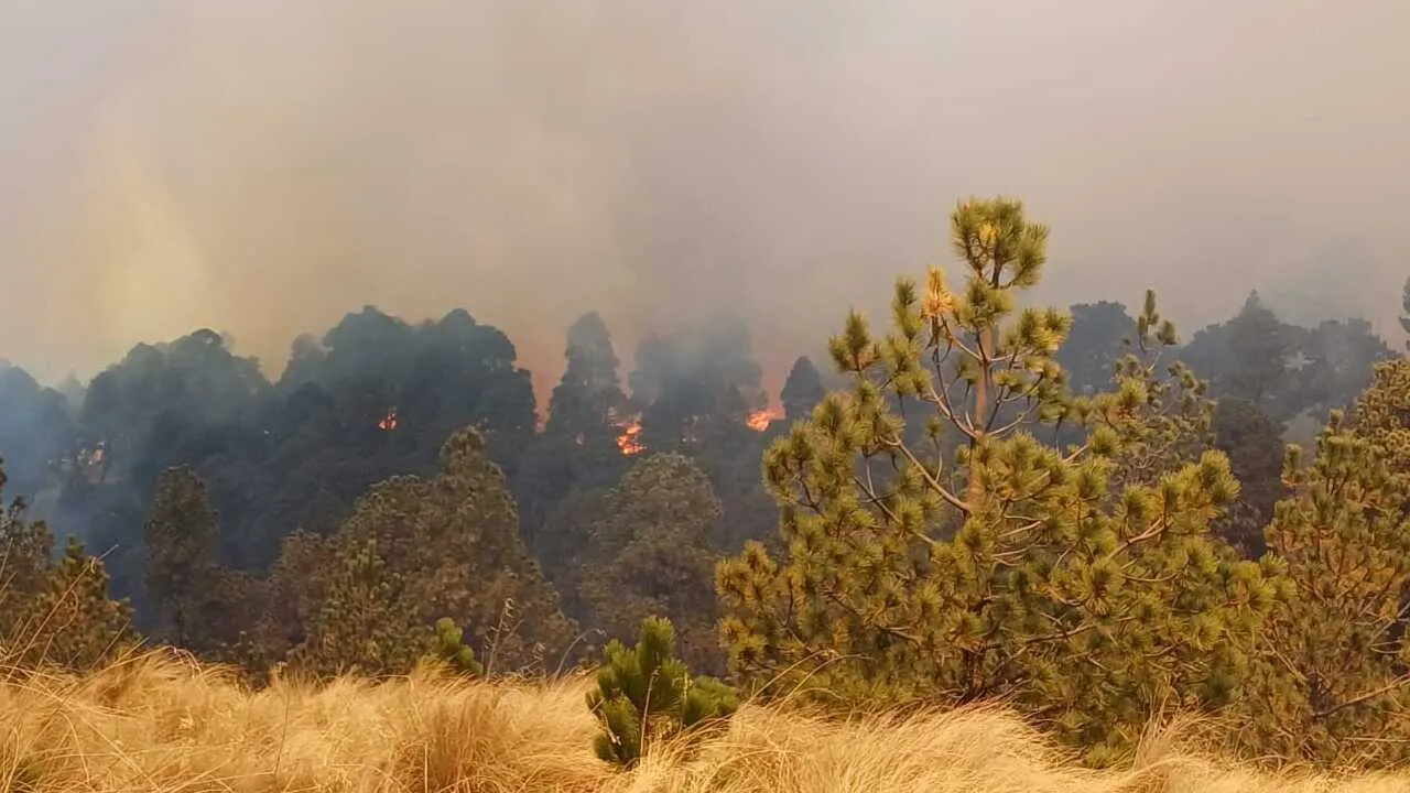 Incendios forestales