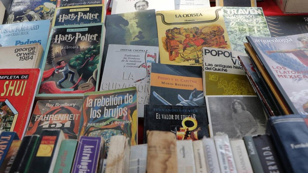Picnic Literario