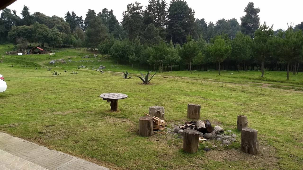 Bosque Esmeralda