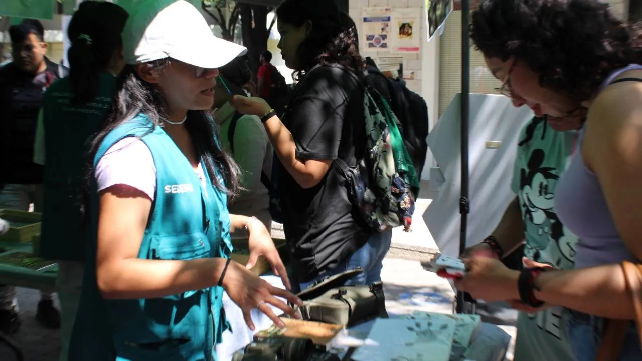 Festival de la Vida Silvestre.