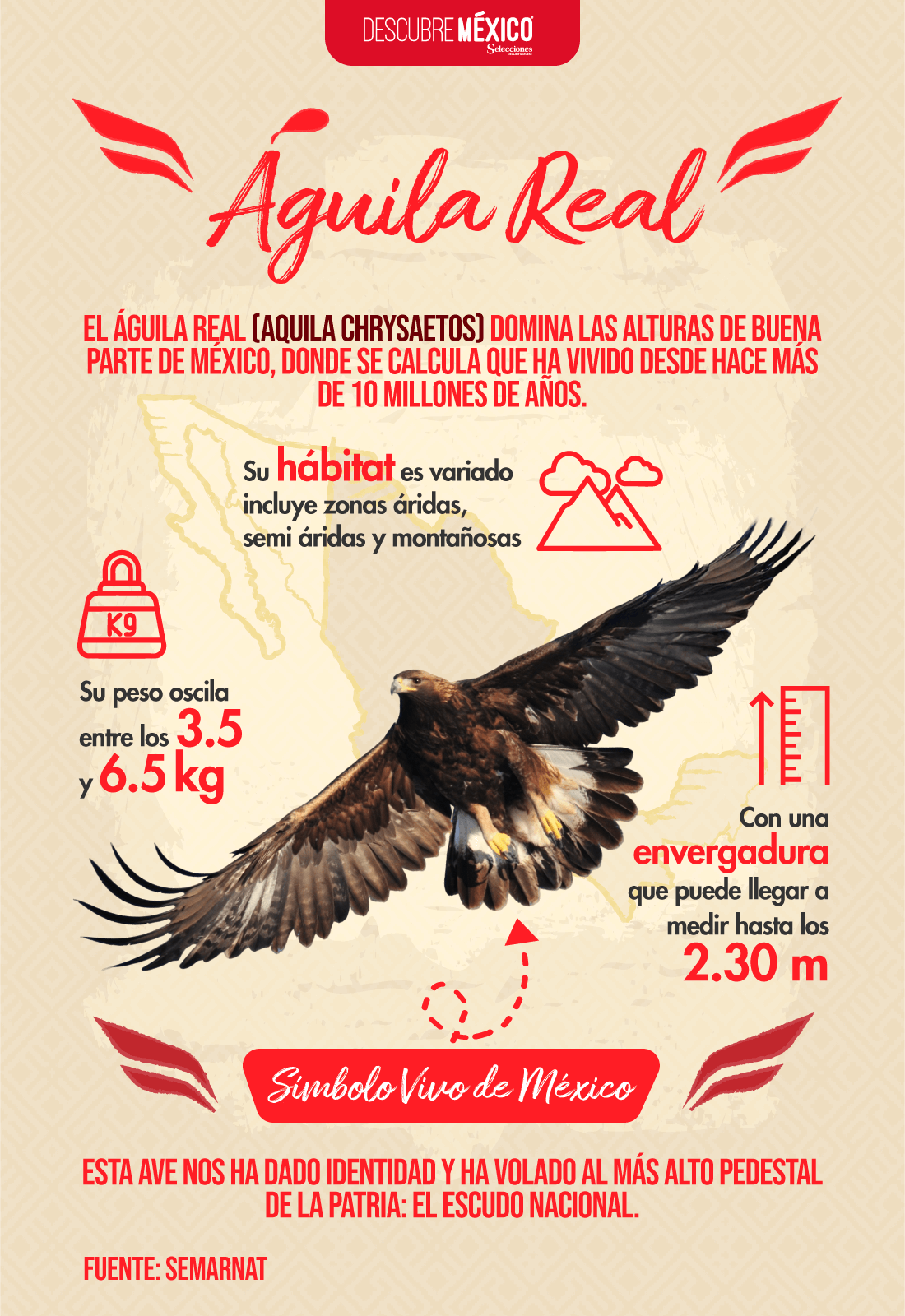 Águila