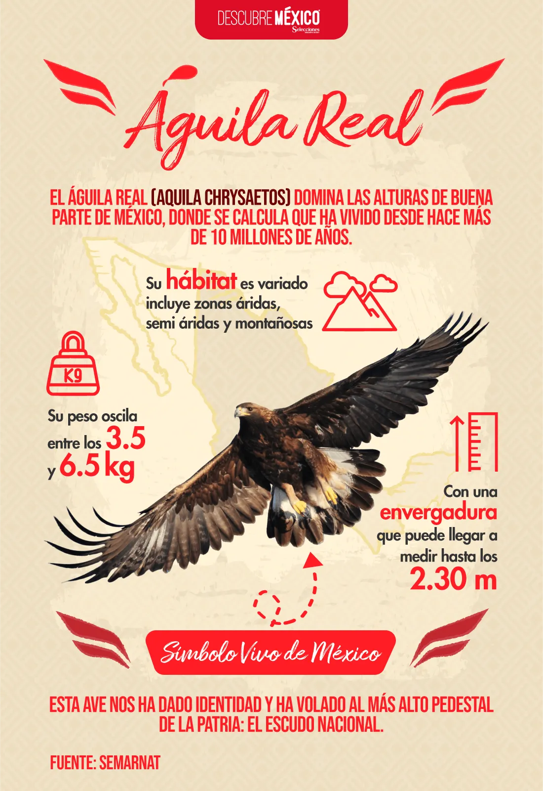 Águila