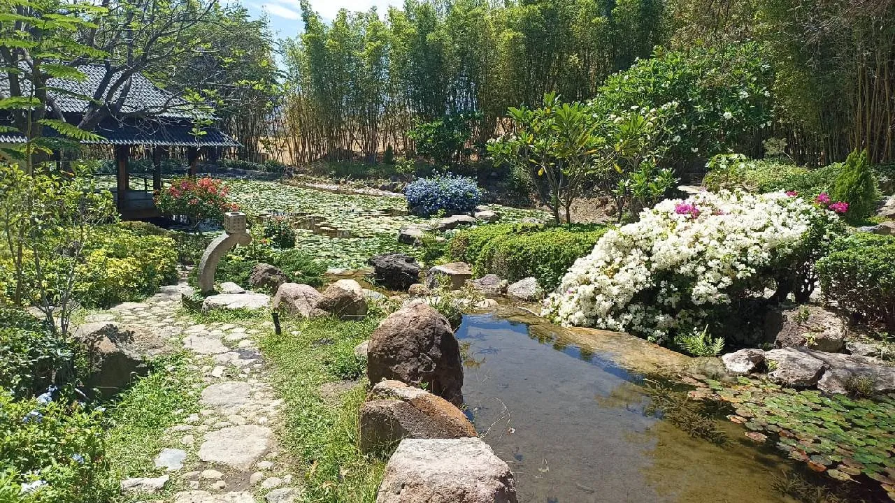 Los Jardines de México es uno de los lugares más románticos que puedes visitar con tu pareja, en familia, o amigos. Descúbrelo.