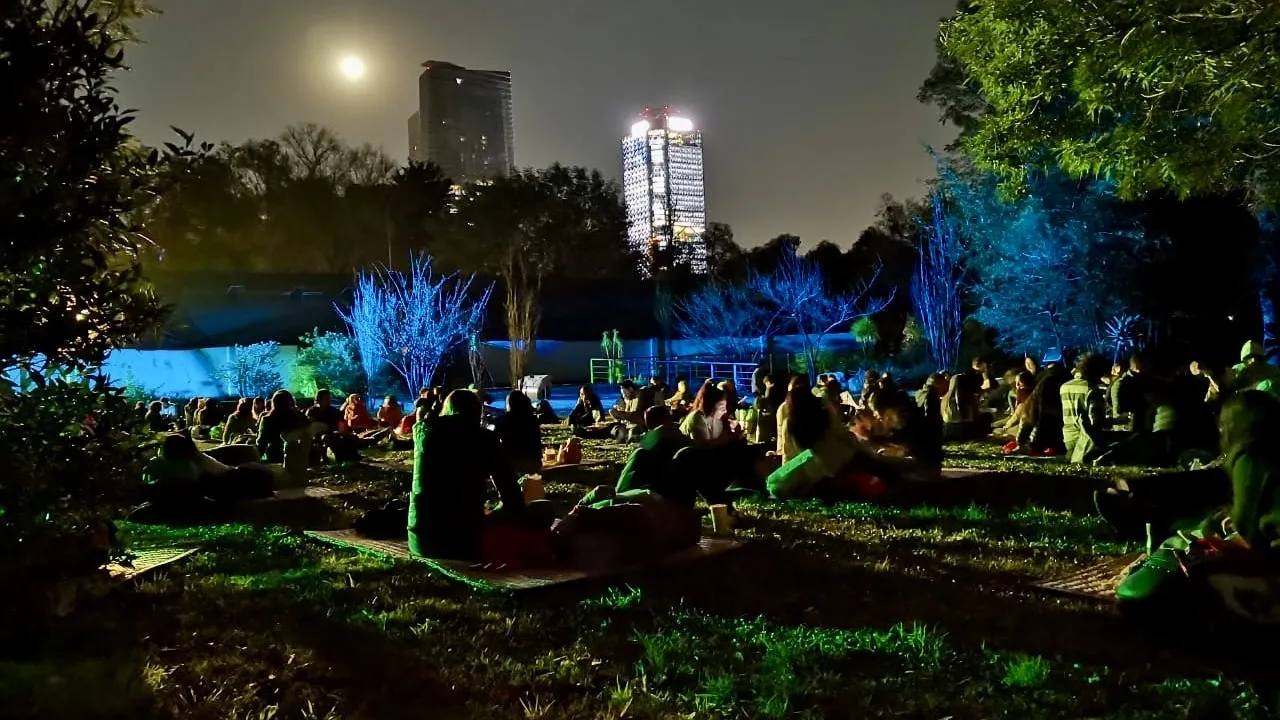 Picnic Nocturno