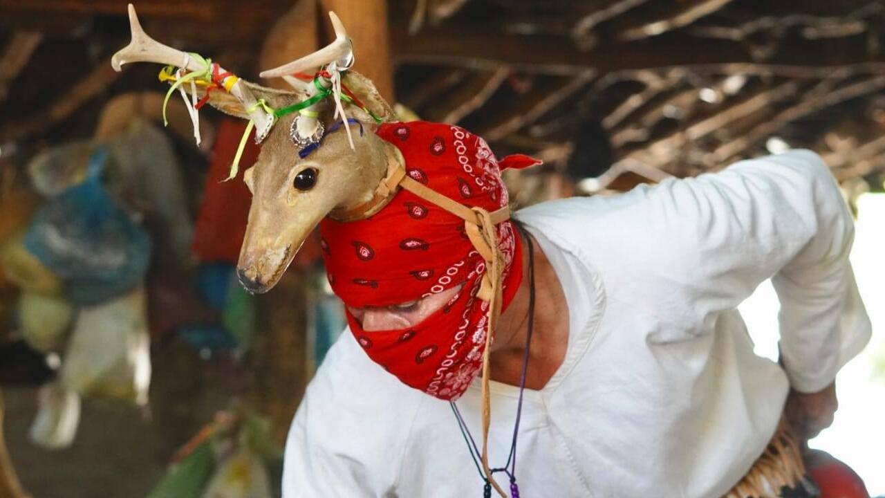 Campaña de Sinaloa