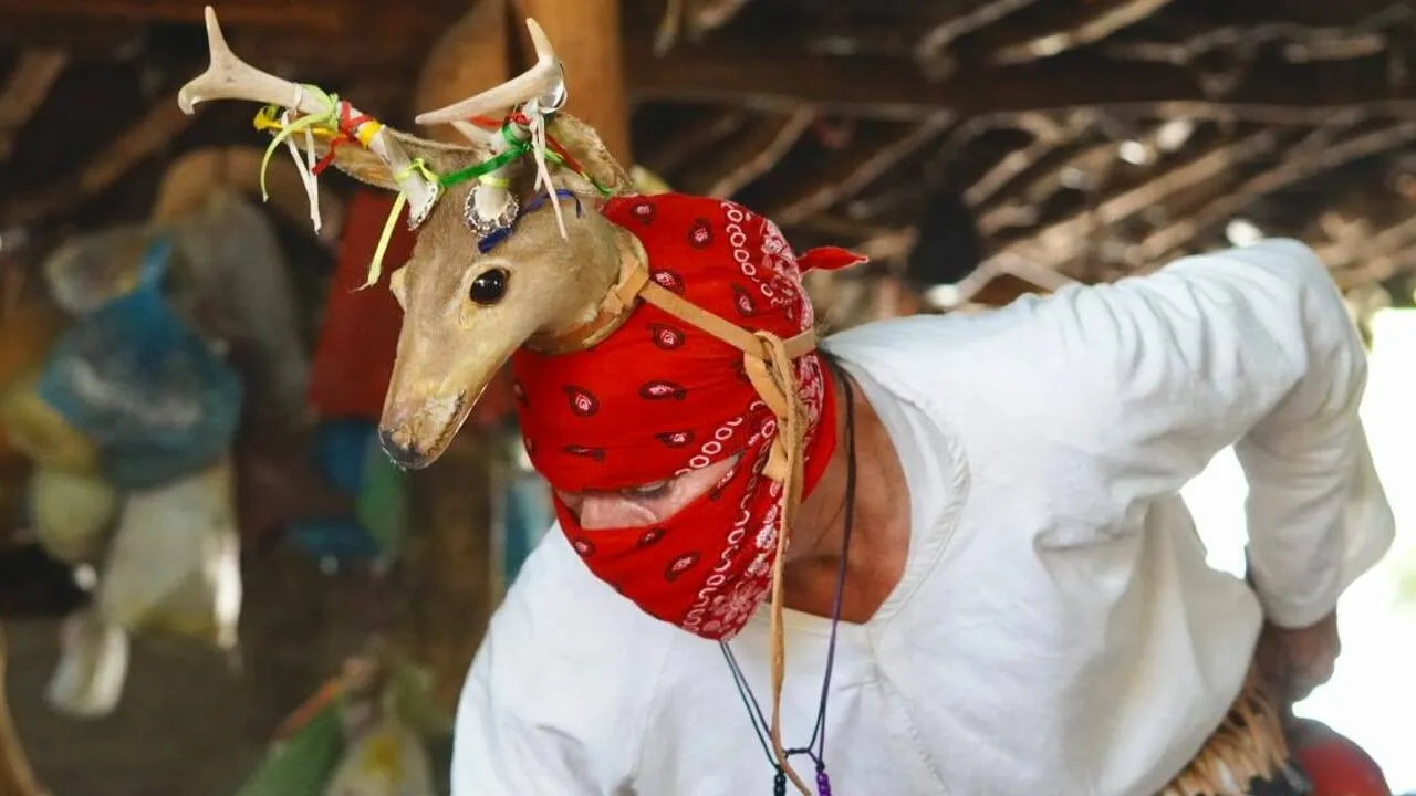 Campaña de Sinaloa