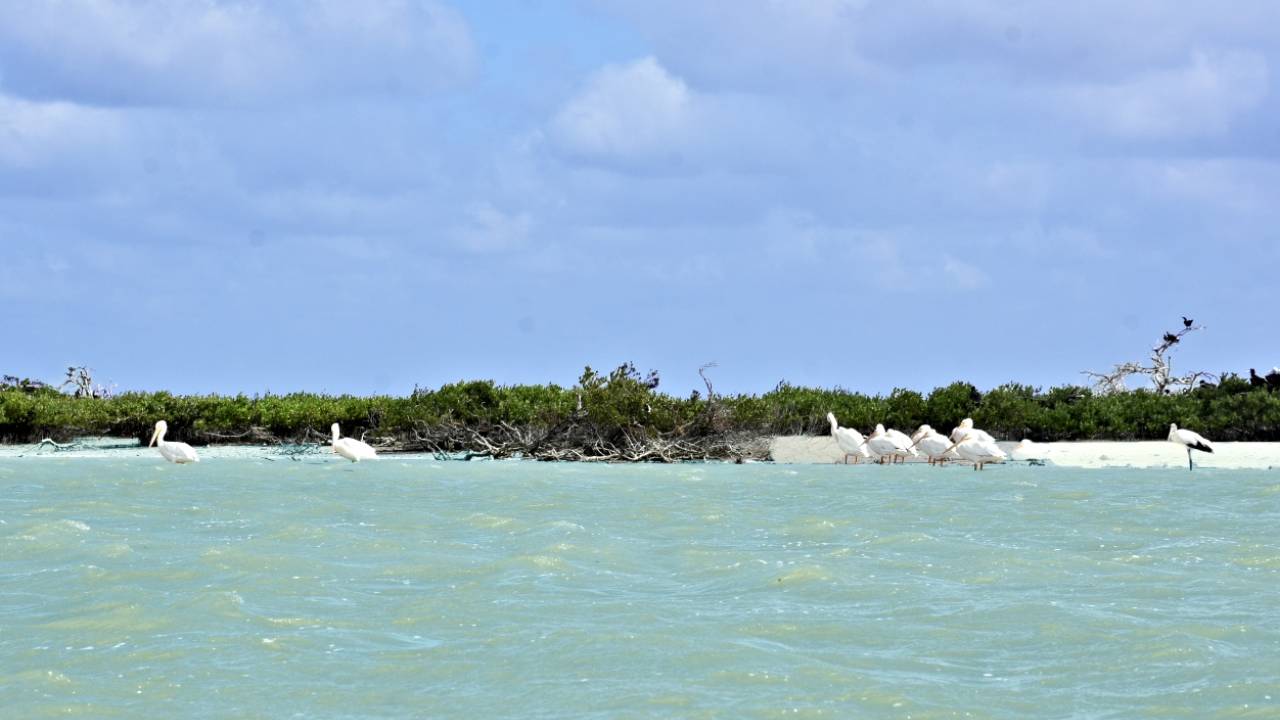 Isla Aguada