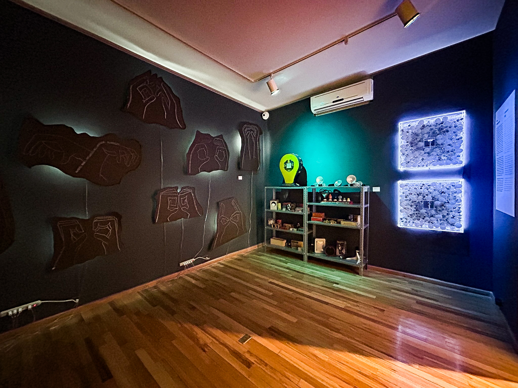 Muestra Museo Modo