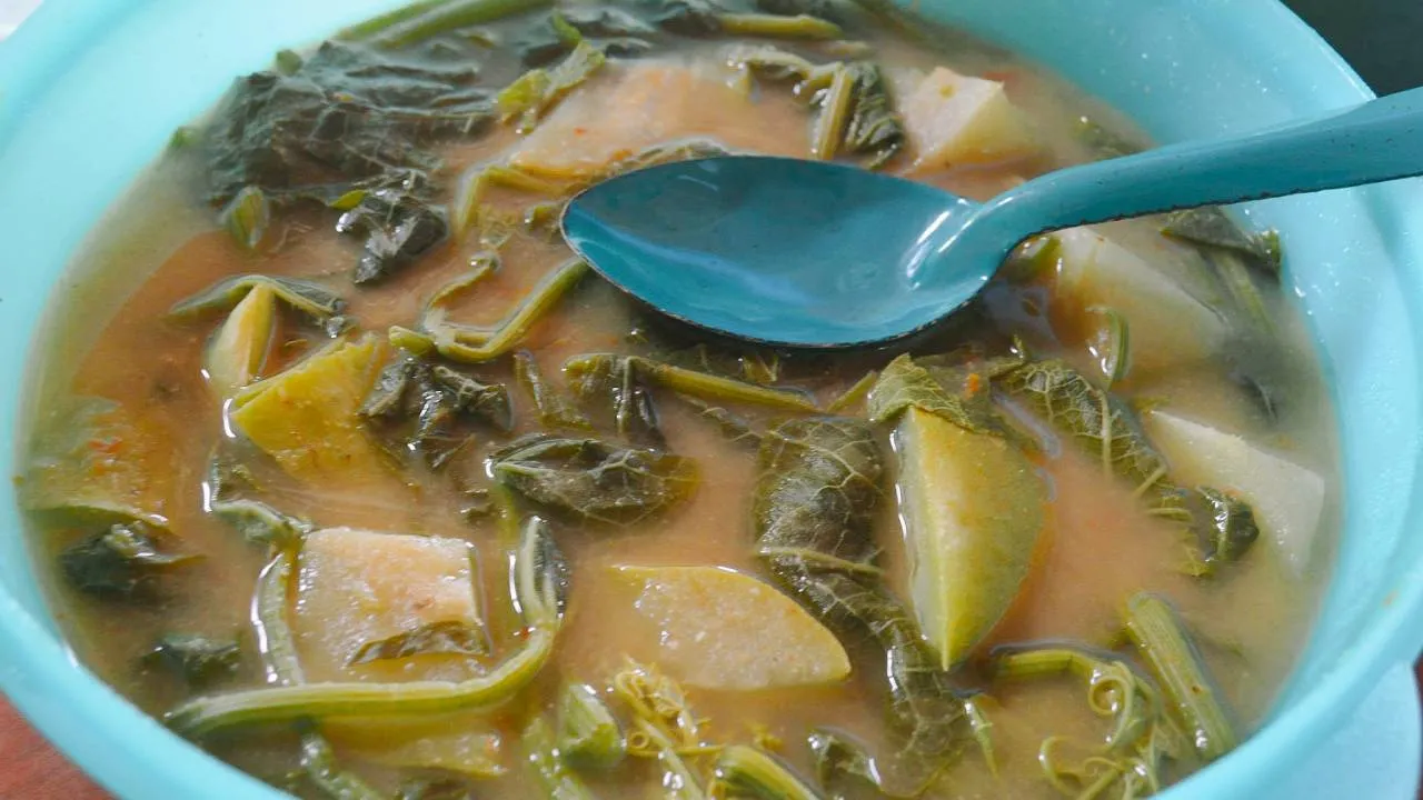 sopa de guías