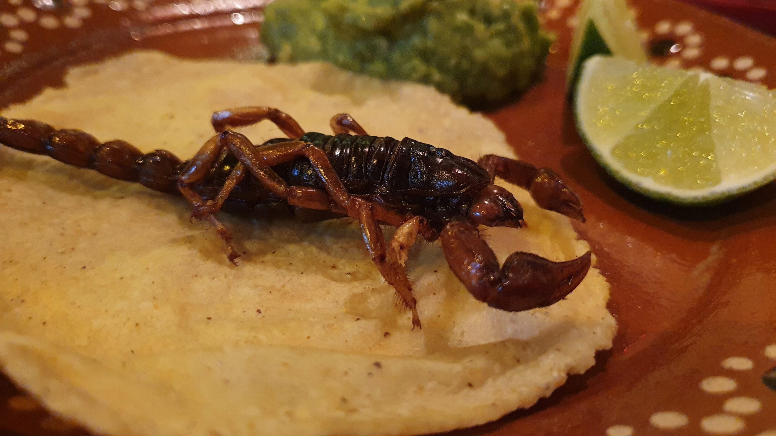 Taco de alacrán