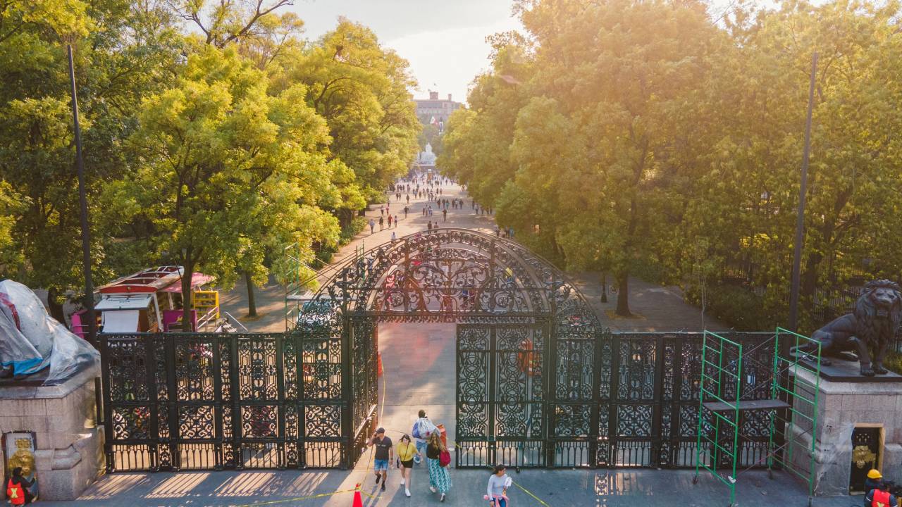 El Festival del Bosque de Chapultepec se celebrará este próximo 17 y 20 de abril, con un evento llamado “Spora” qué rinde homenaje a los hongos y a las setas. 