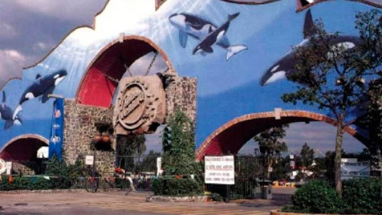 Reino Aventura, el parque de diversiones en Ciudad de México que estuvo activo en los 80 y 90 fue muy famoso, sobre todo por Keiko, la orca que después se hizo famosa por la película Free Willy.