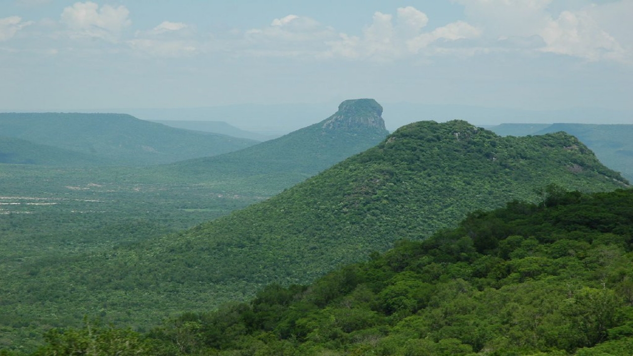 Reserva de la Biósfera El Cielo