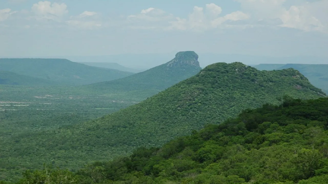 Reserva de la Biósfera El Cielo