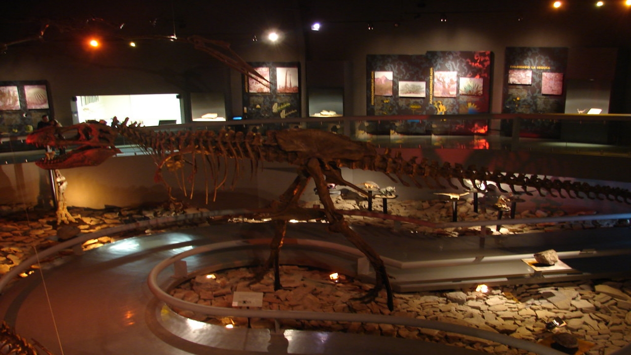 Museo del Desierto