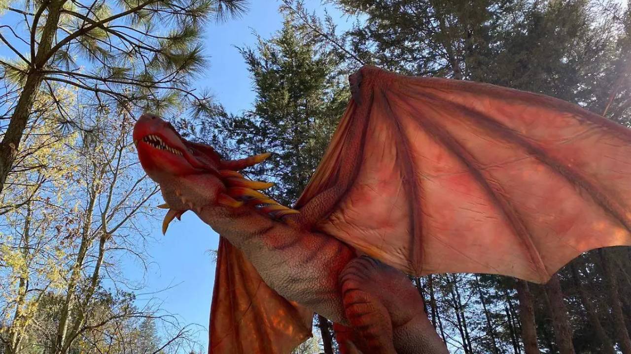 Bosque de Dragones en Volcanic Park: Una aventura mítica en Puebla