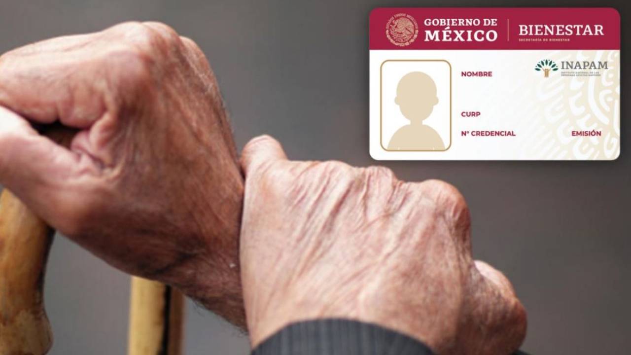 Credencial INAPAM: acceso a tres apoyos económicos de Bienestar
