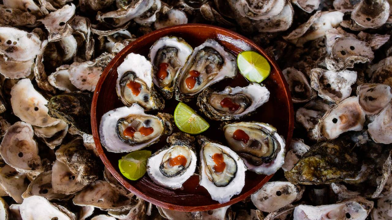 Conoce este fascinante festival de Ostiones en Nayarit