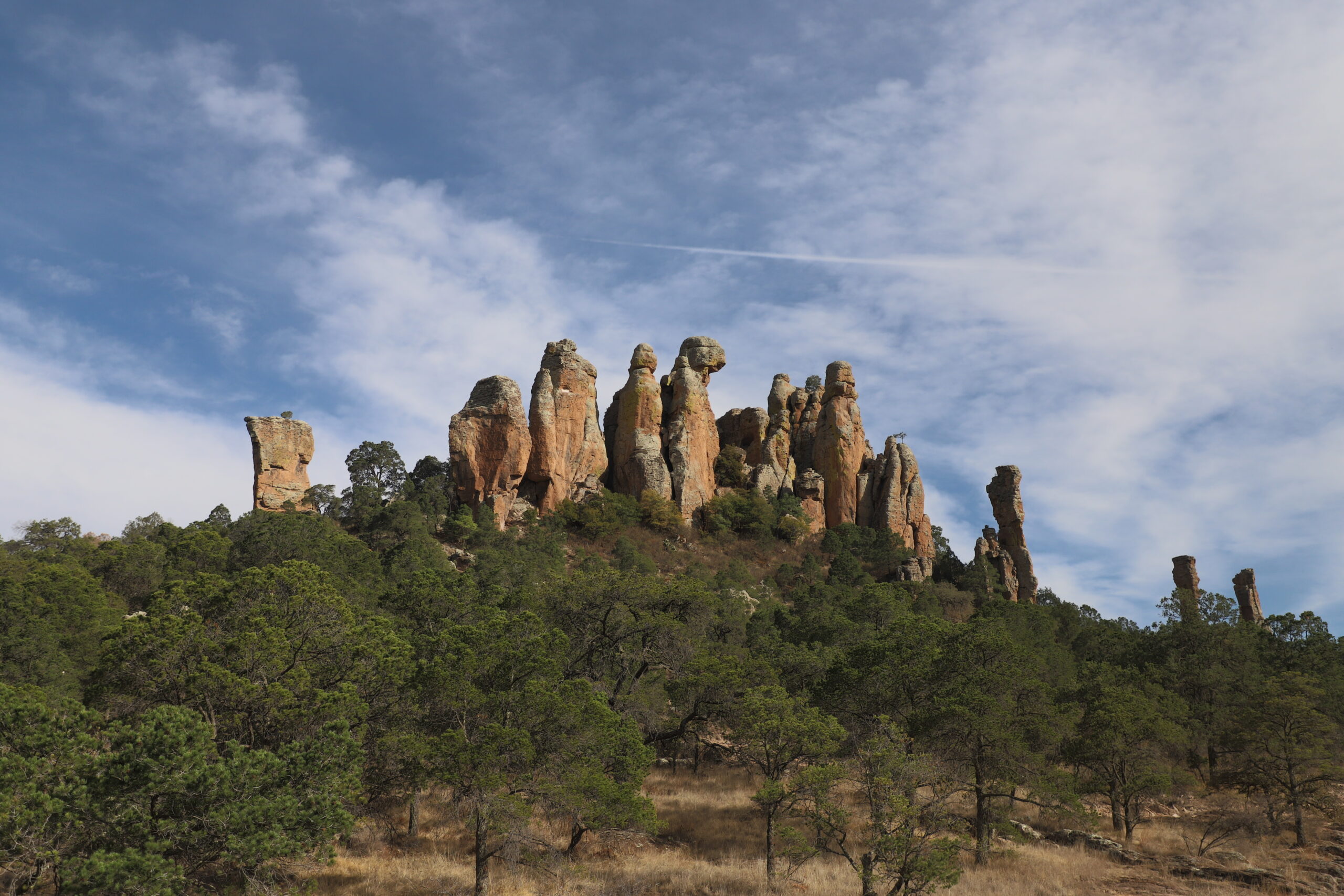 Sierra de órganos, Zacatecas.