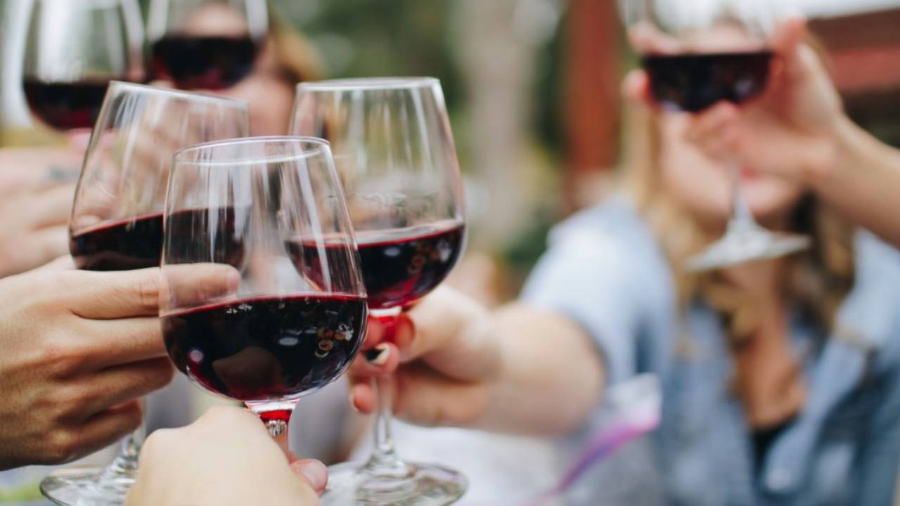 VINART Descubriendo la esencia del vino en Ajijic