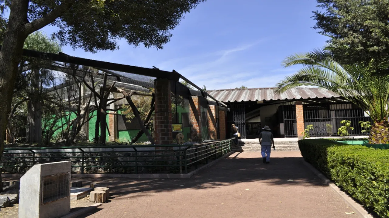 Zoológico Los Coyotes