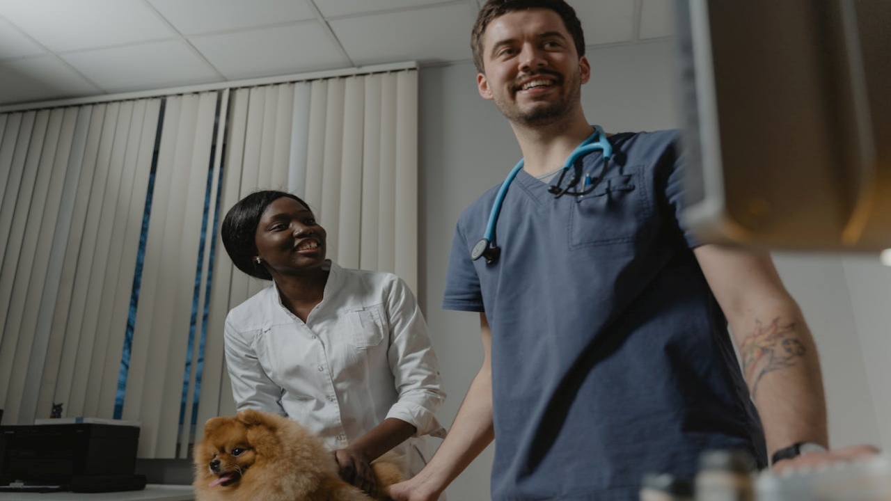 veterinarias Farmacias Similares