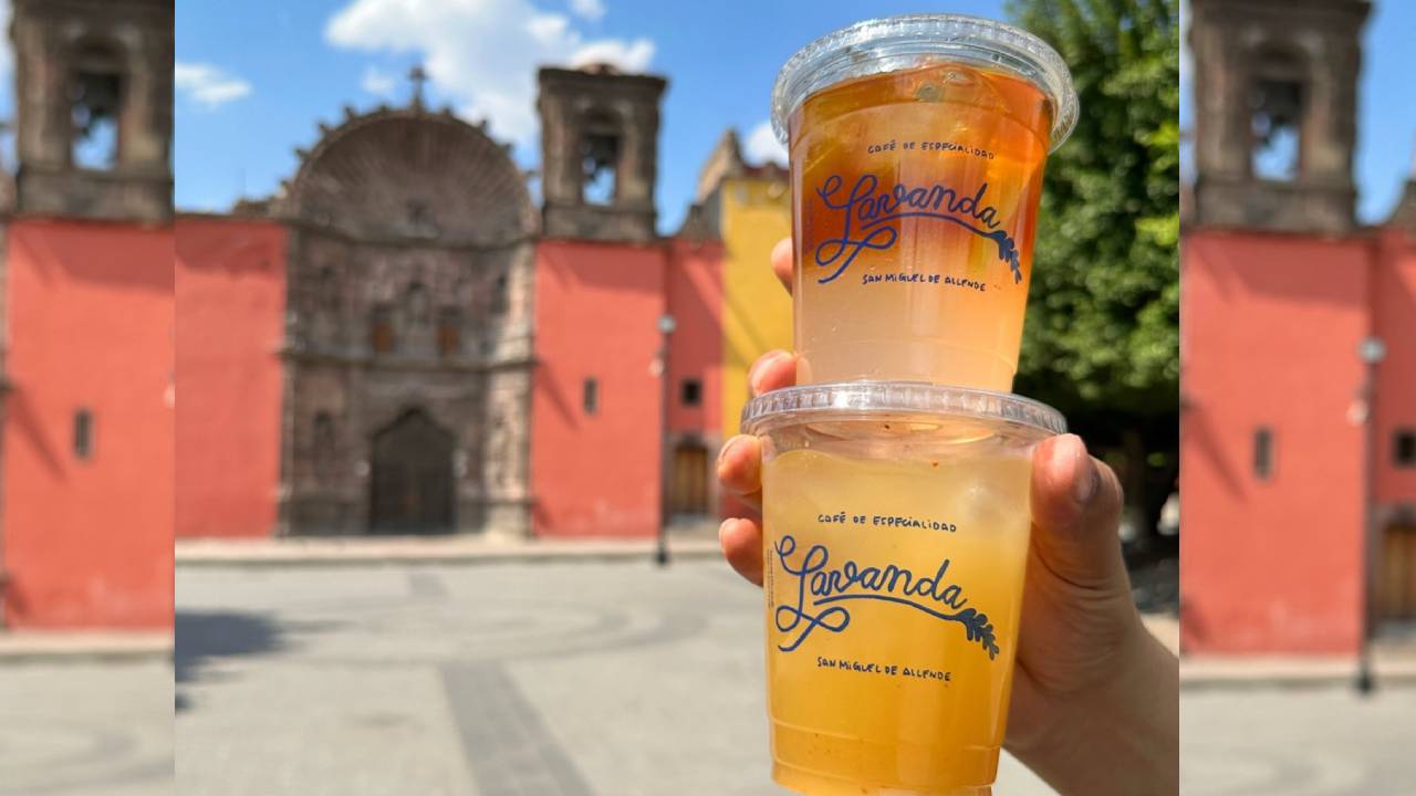 Café de lavanda en San Miguel: aroma, sabor y esencia en cada taza