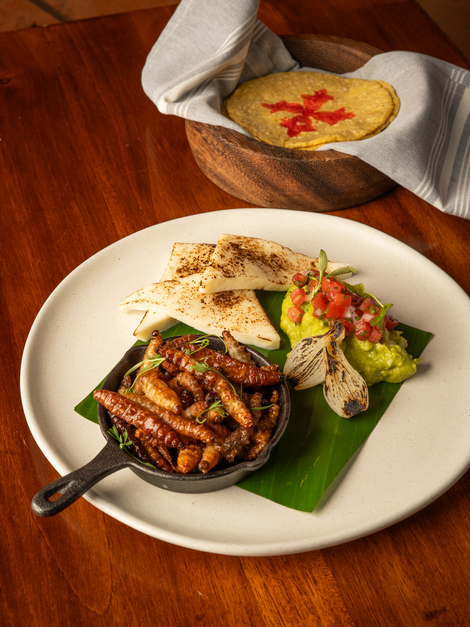 Festival de bichos en Corazón de Maguey.