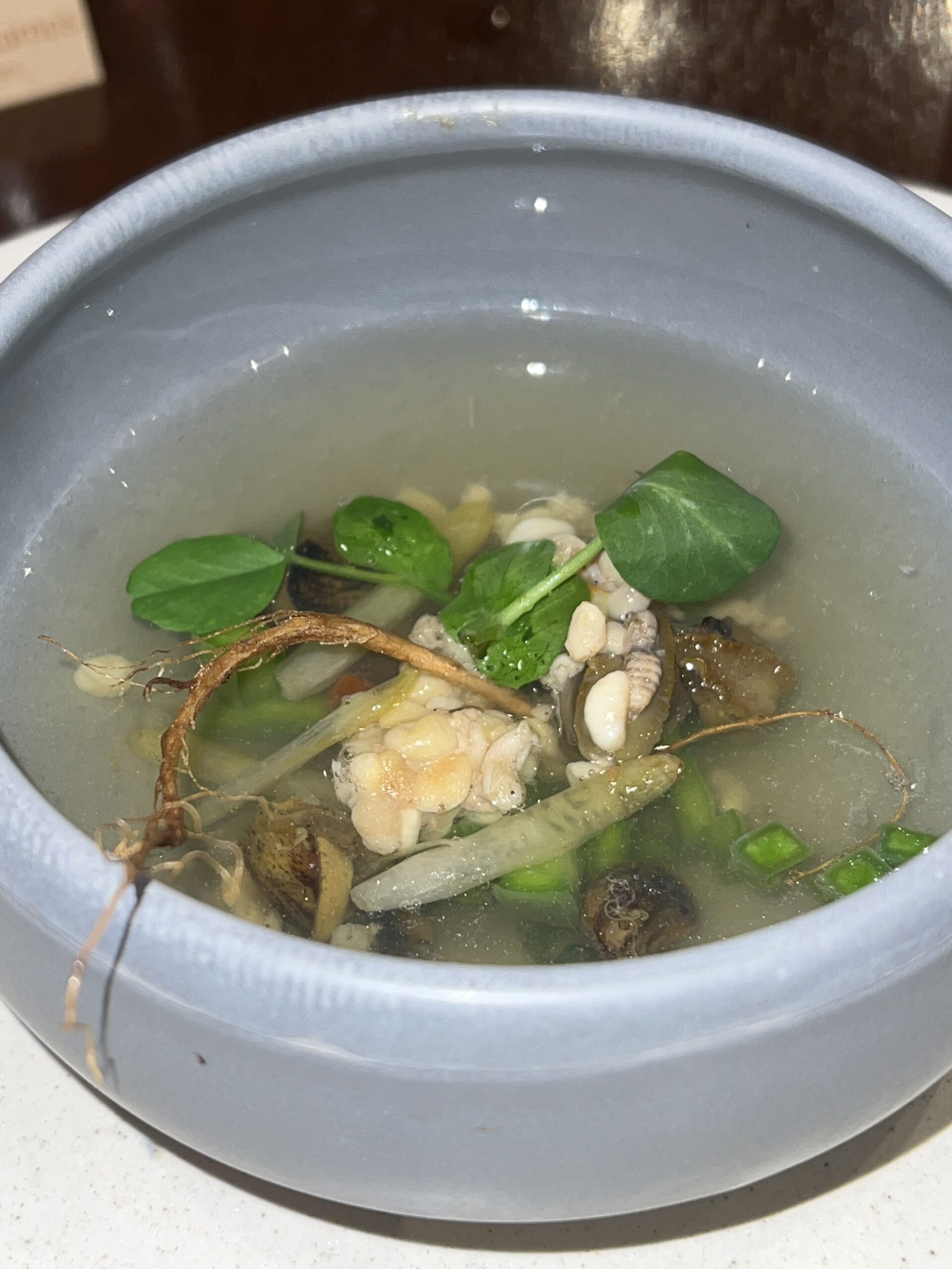 Temporada de bichos en Corazón de Maguey.