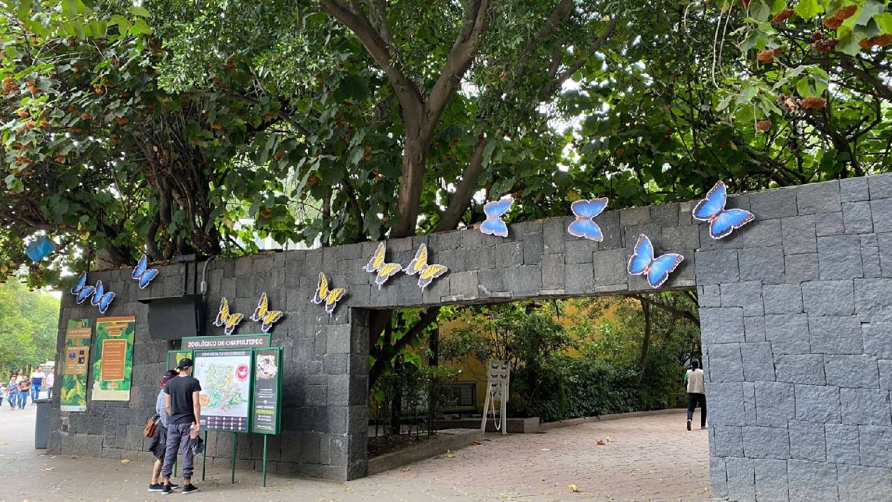 Para celebrar este importante hito, se han organizado diversas actividades educativas y recreativas gratuitas, las cuales estarán disponibles hasta el 31 de julio.