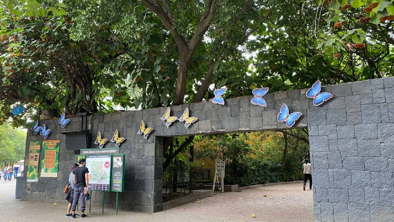 Para celebrar este importante hito, se han organizado diversas actividades educativas y recreativas gratuitas, las cuales estarán disponibles hasta el 31 de julio.