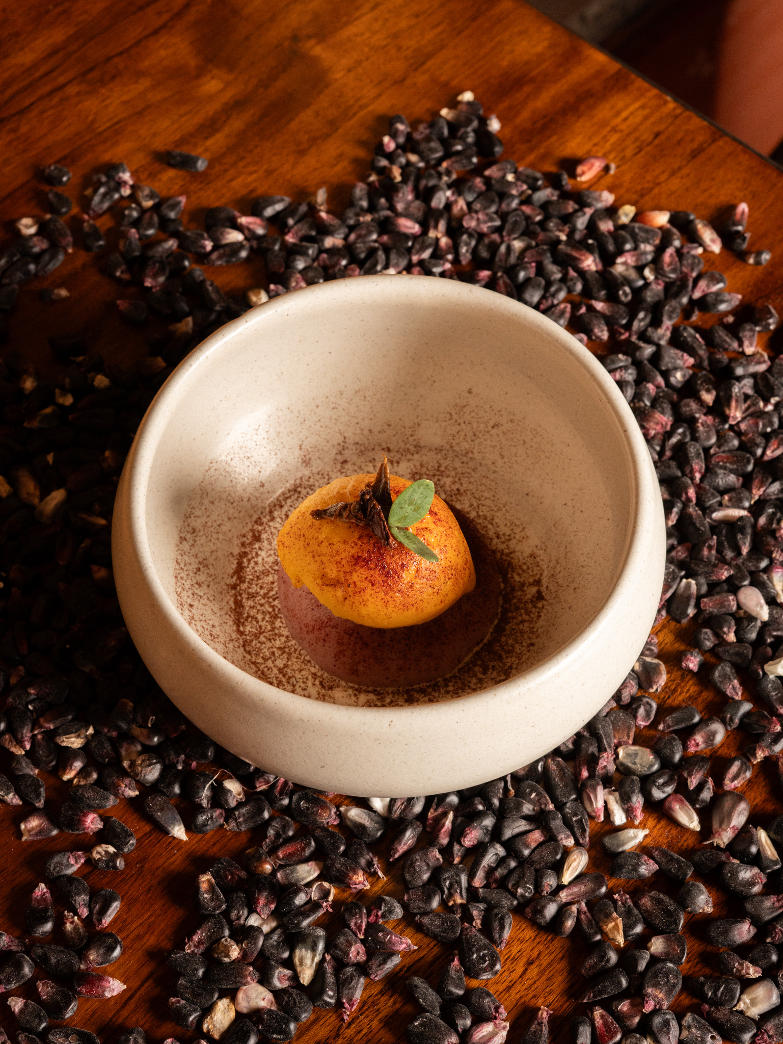 Festival de bichos en Corazón de Maguey.