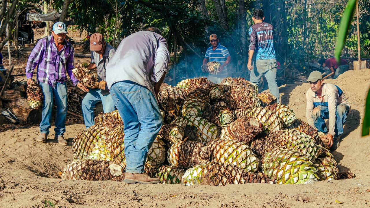 Una escapada a esta experiencia es ideal si buscas conectar con lo auténtico, entre sabores, montañas y el corazón de Colima.  
