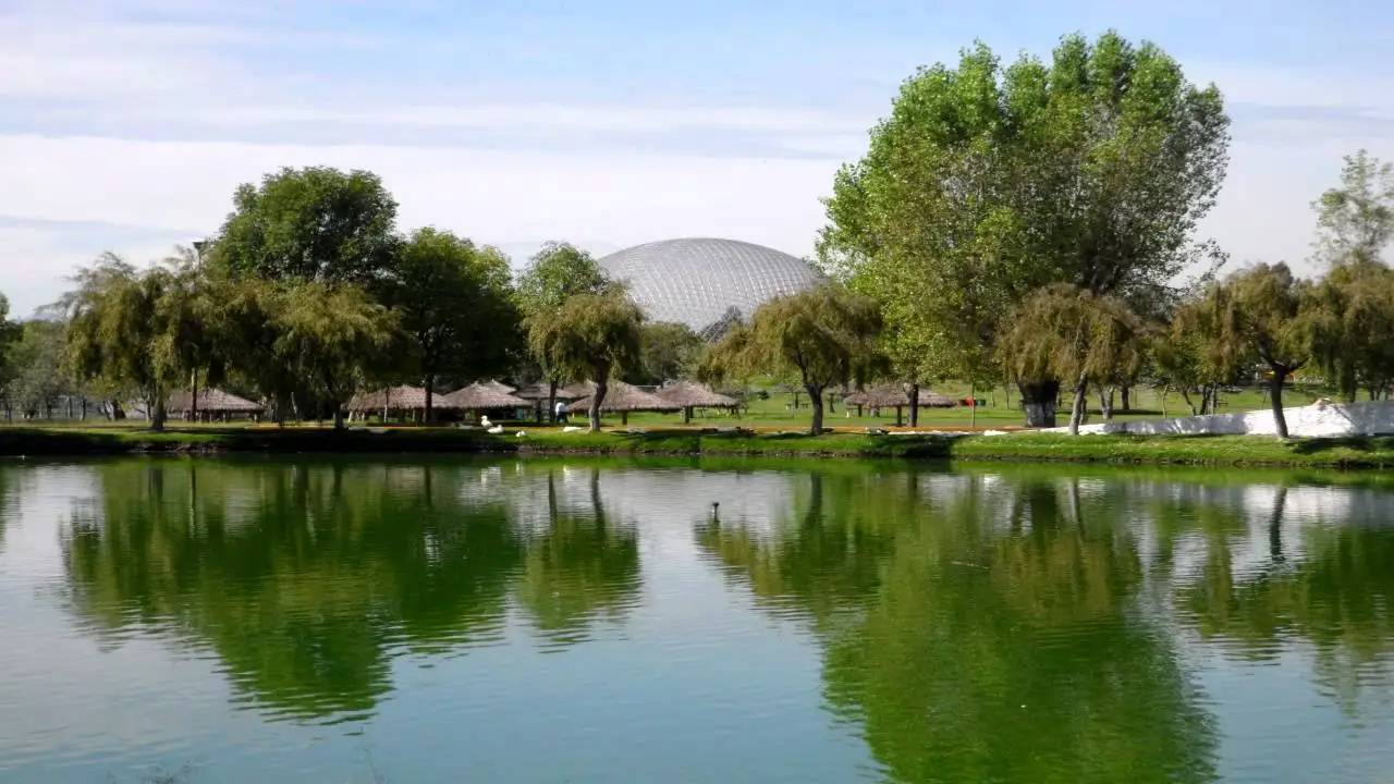Explora los parques ecológicos de Puebla: naturaleza, aventura y aire puro