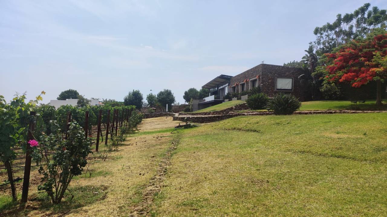 Finca La Estramancia: vino, paisaje y tradición a la orilla del lago