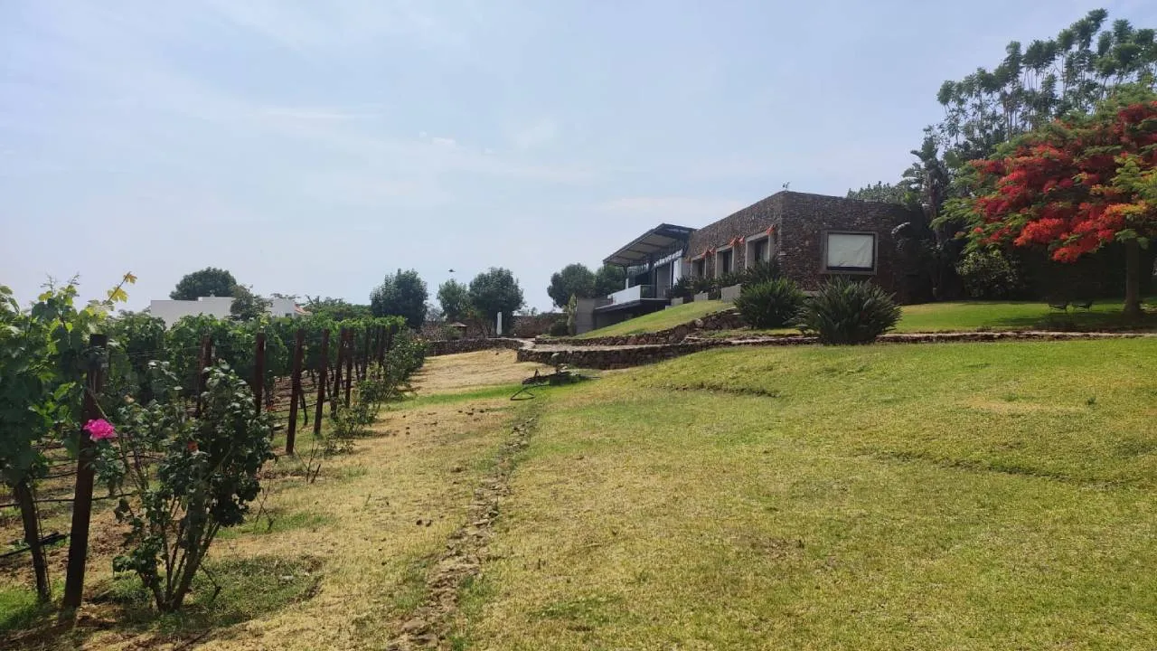 Finca La Estramancia: vino, paisaje y tradición a la orilla del lago