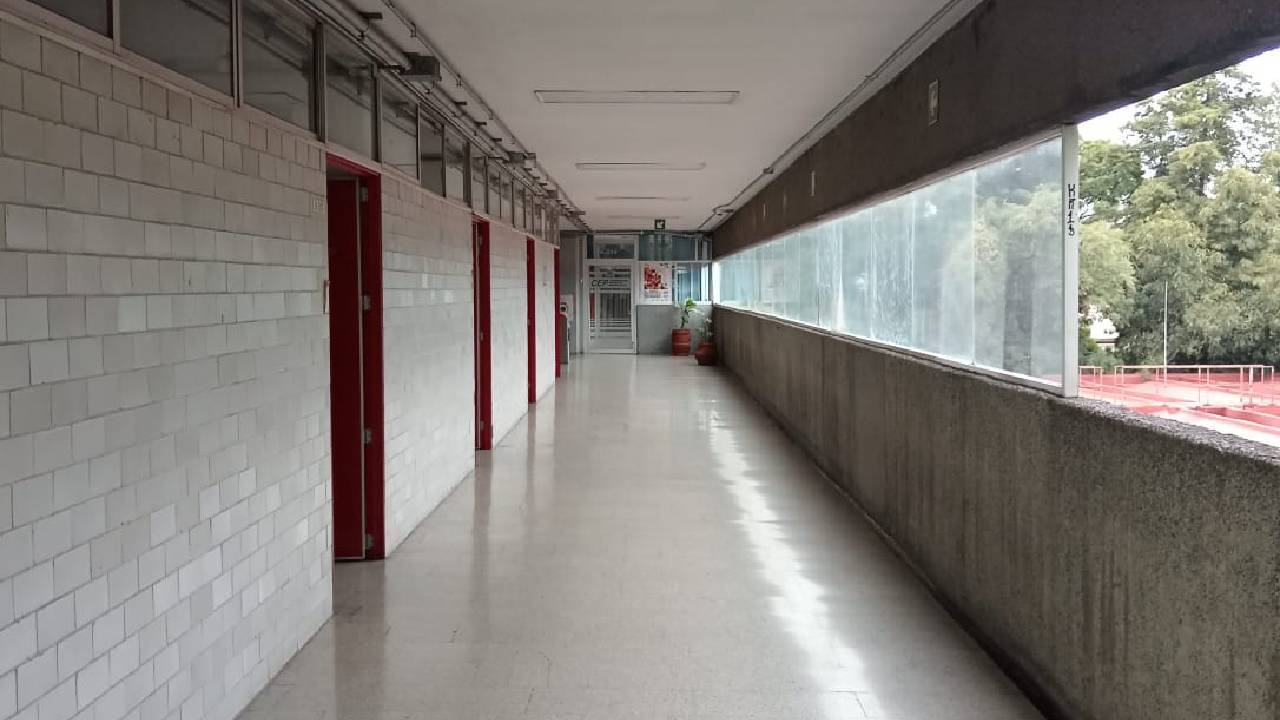 Universidades del Bienestar, una opción para estudiar