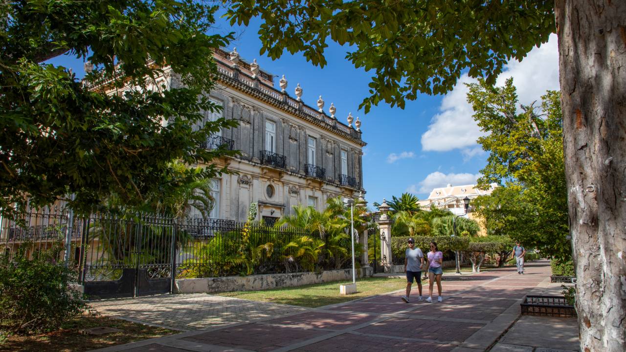 Yucatán inspira: arte contemporáneo y exposiciones únicas para un viaje cultural inolvidable