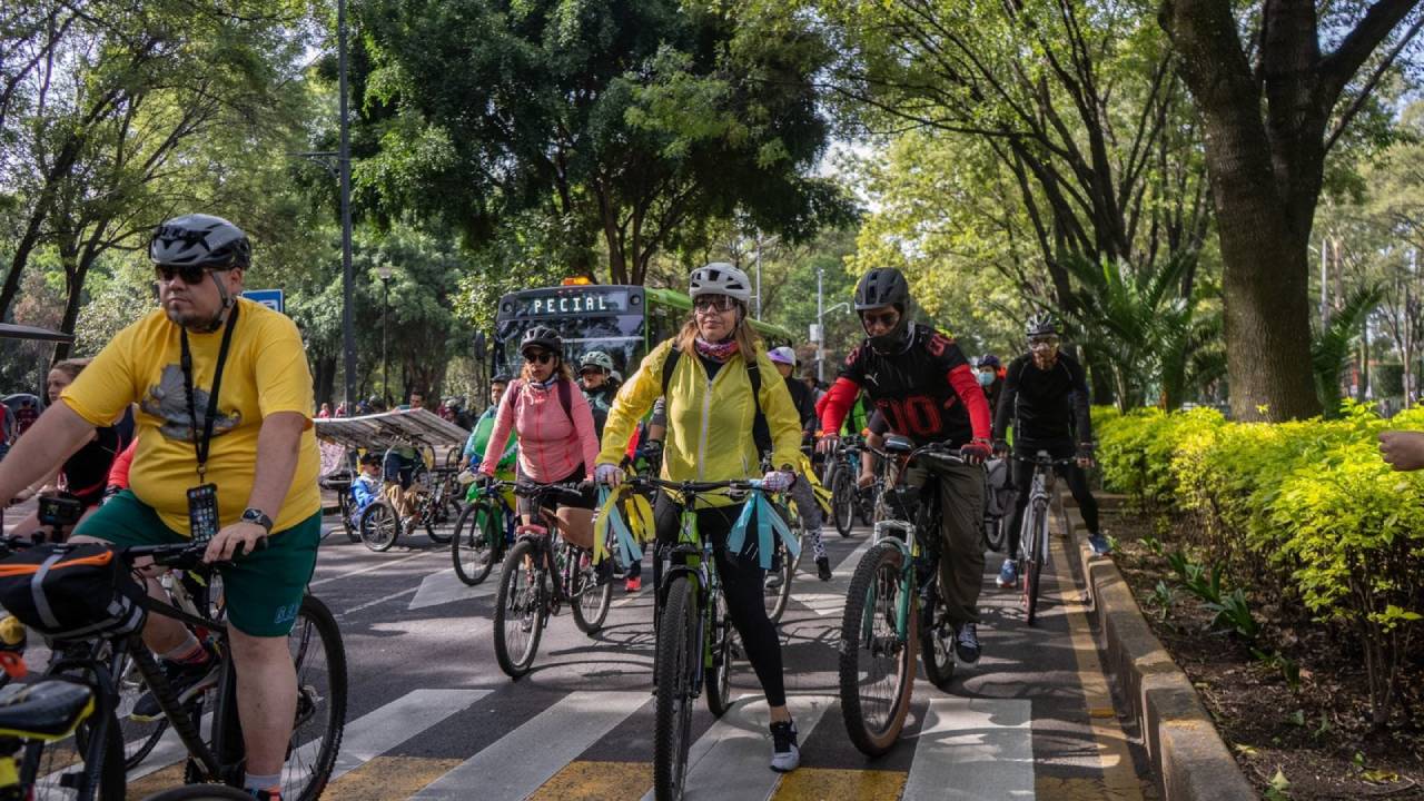 La cita es a las 8:00 de la mañana en el Parque de los Venados, ubicado sobre Avenida División del Norte, Colonia Portales Norte, en la Alcaldía Benito Juárez.